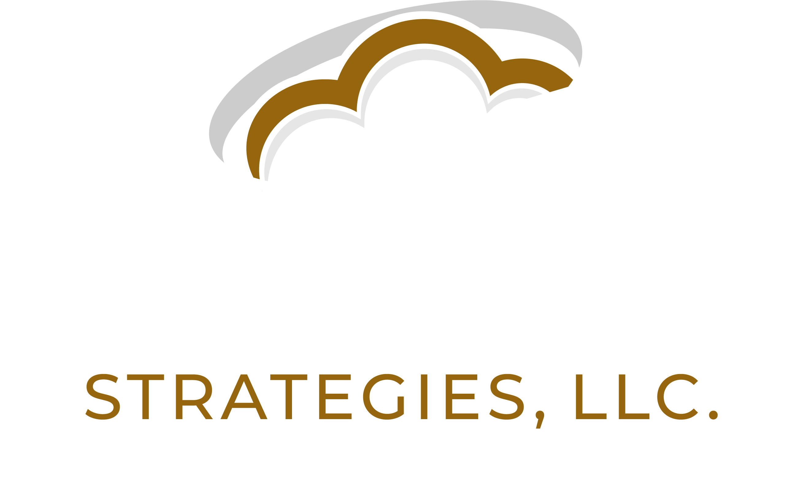 Cloud Strategies LLC Logo